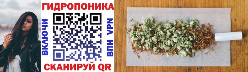 Бошки марихуана MAZAR  Липецк 